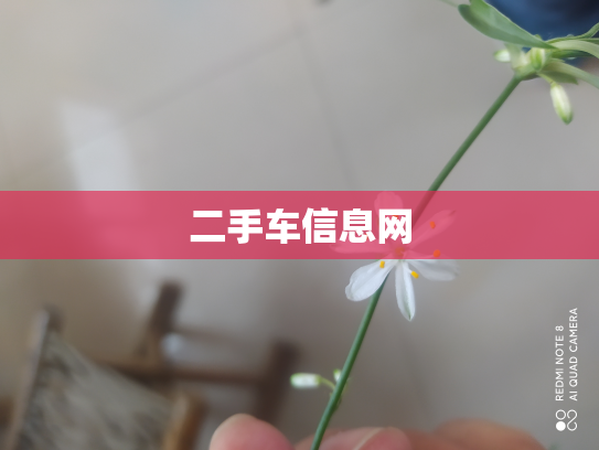 二手车信息网