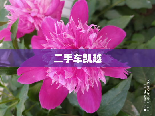 二手车凯越