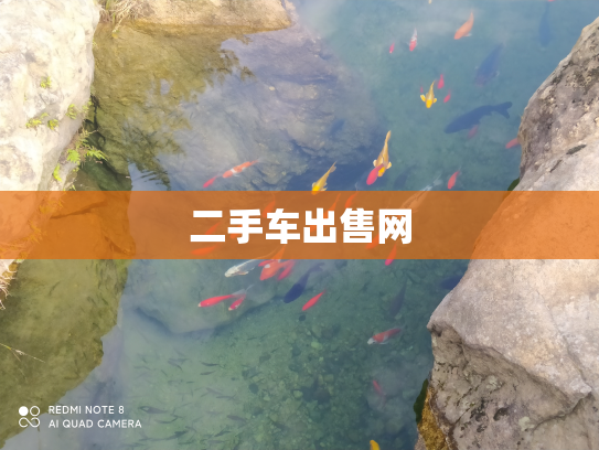 二手车出售网