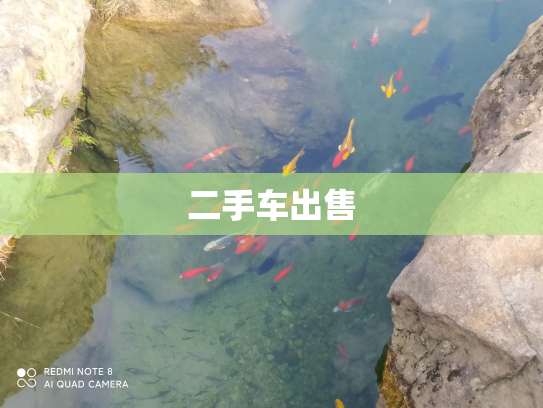 二手车出售