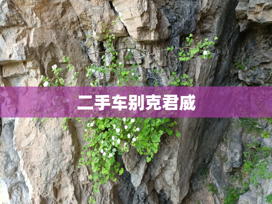 二手车别克君威