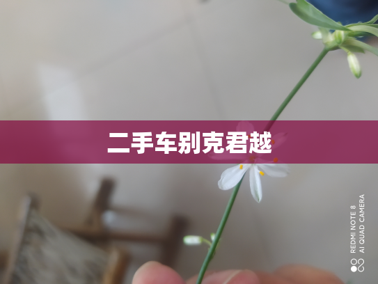 二手车别克君越