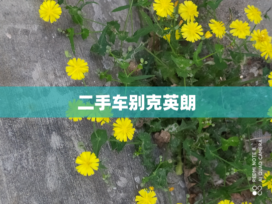 二手车别克英朗