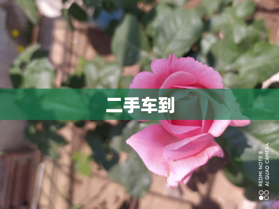 二手车到