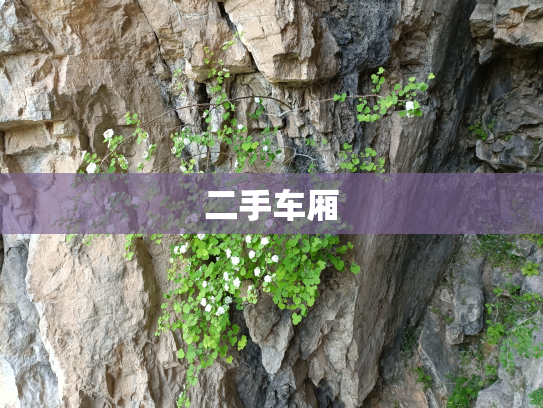 二手车厢