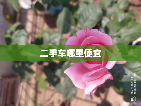 二手车哪里便宜