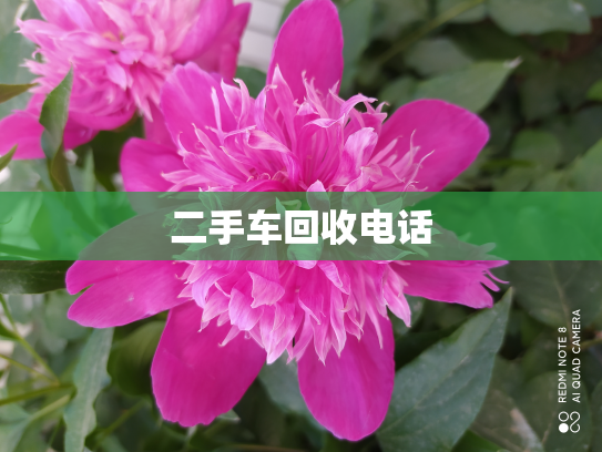 二手车回收电话