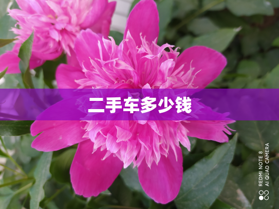 二手车多少钱
