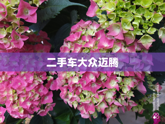 二手车大众迈腾