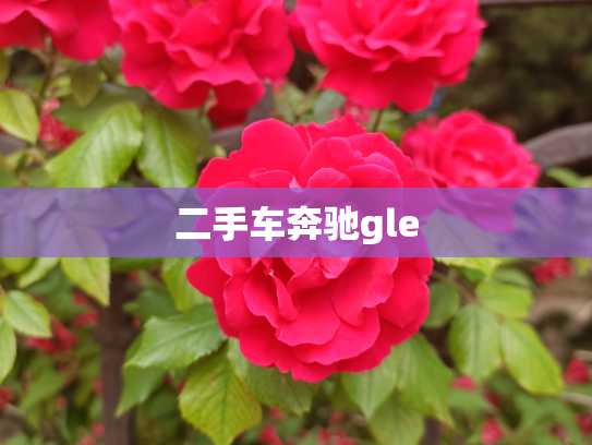 二手车奔驰gle