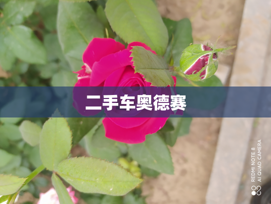 二手车奥德赛
