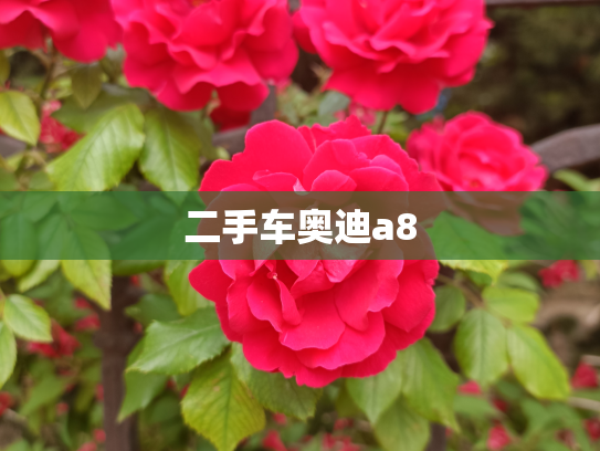 二手车奥迪a8