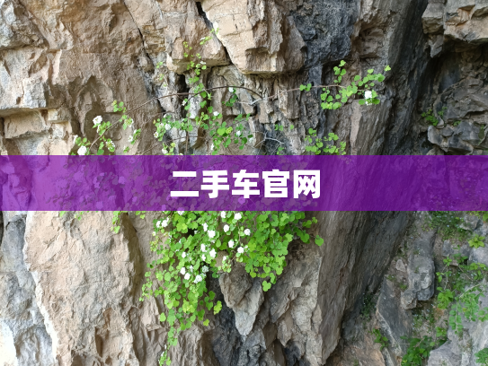 二手车官网