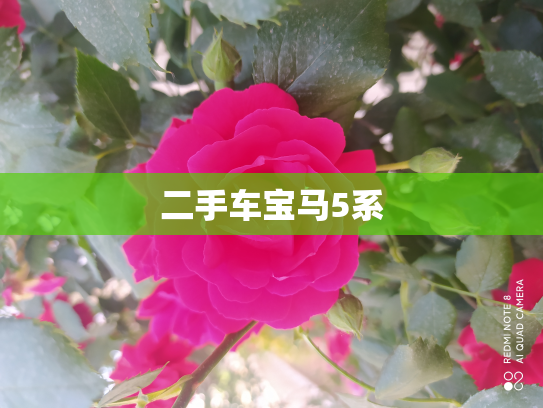 二手车宝马5系