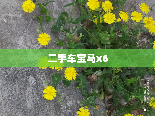 二手车宝马x6