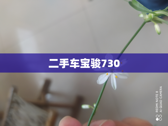 二手车宝骏730