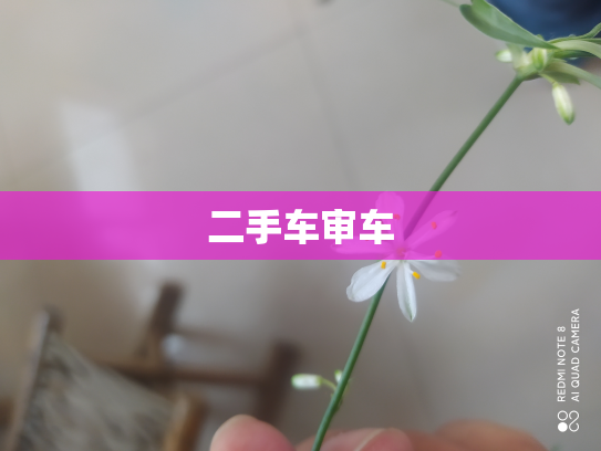 二手车审车