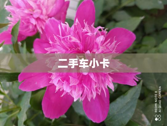 二手车小卡