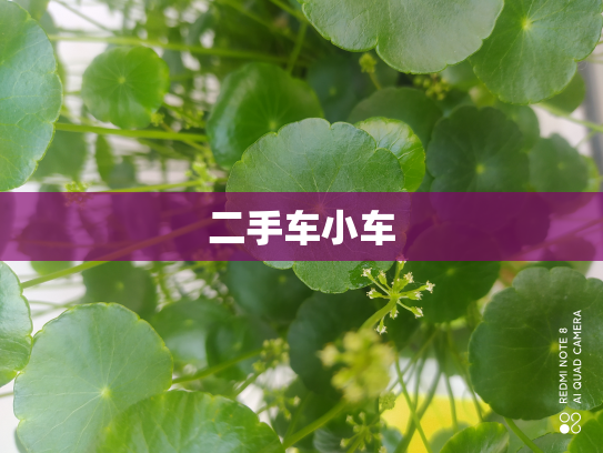 二手车小车