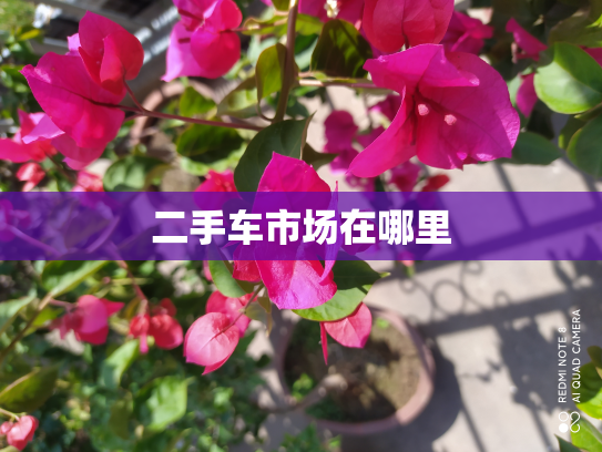 二手车市场在哪里