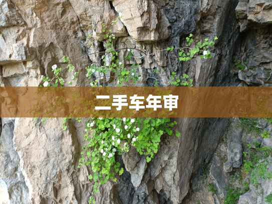 二手车年审