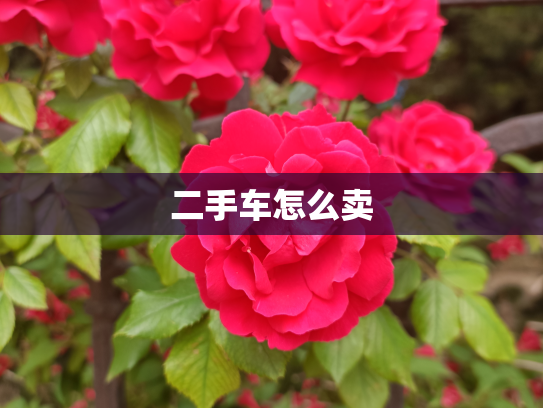 二手车怎么卖