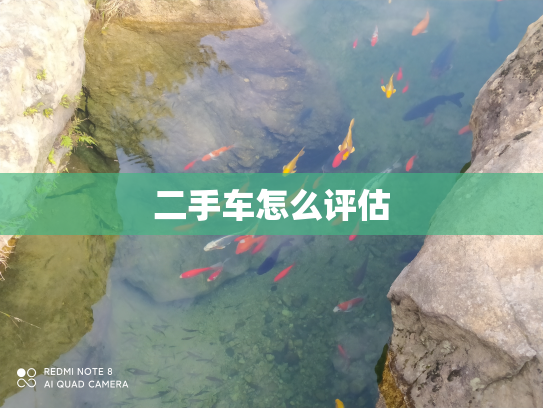 二手车怎么评估