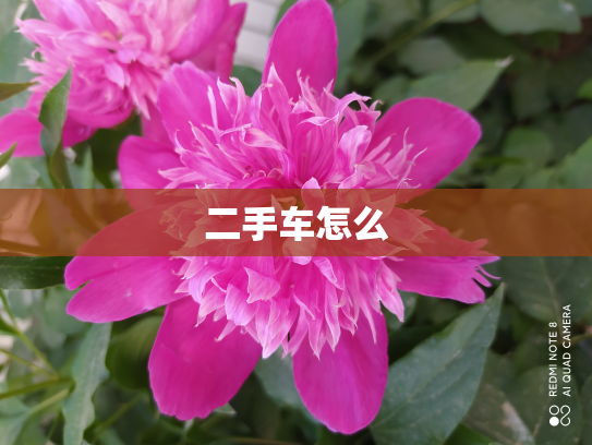 二手车怎么