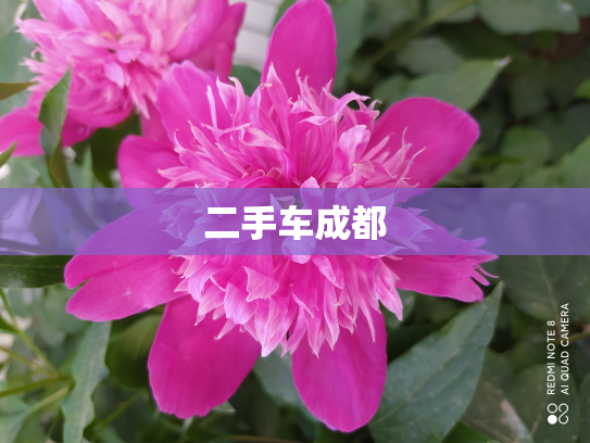 二手车成都