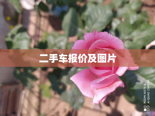 二手车报价及图片