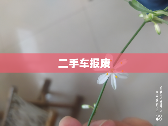 二手车报废