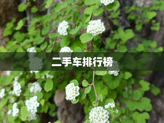 二手车排行榜
