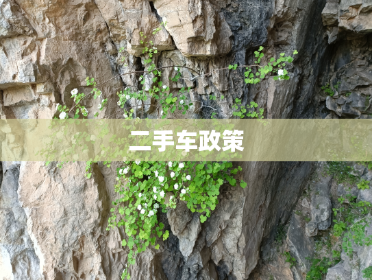 二手车政策
