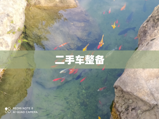 二手车整备