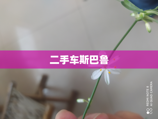 二手车斯巴鲁