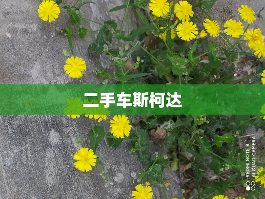 二手车斯柯达