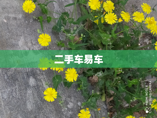 二手车易车
