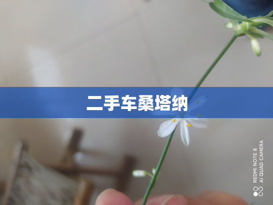 二手车桑塔纳