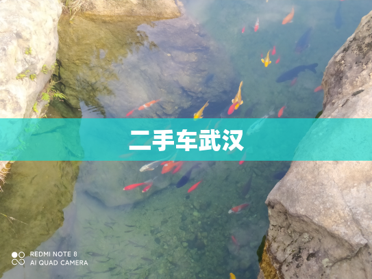 二手车武汉