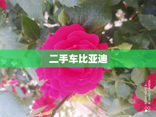 二手车比亚迪