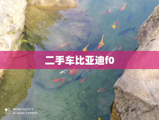二手车比亚迪f0