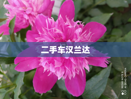 二手车汉兰达