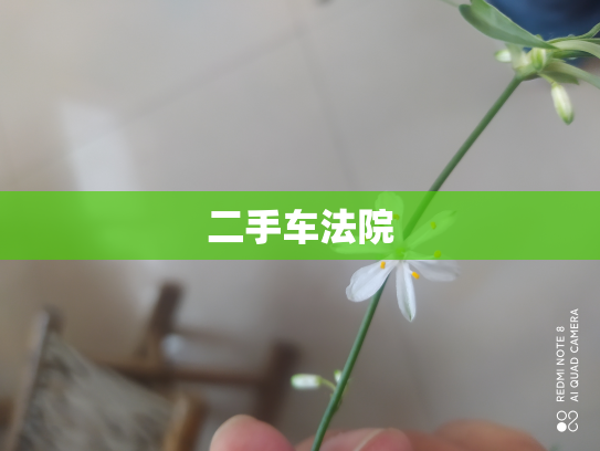 二手车法院