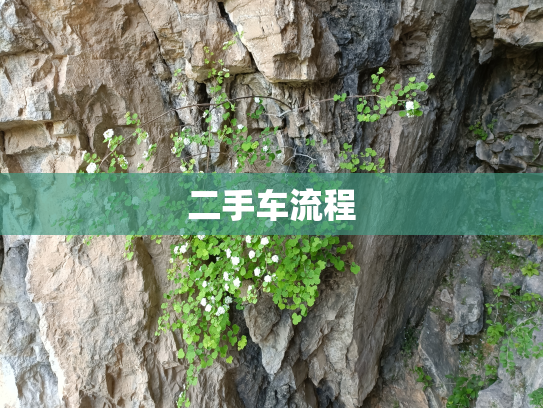 二手车流程