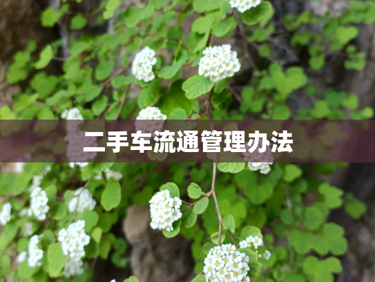 二手车流通管理办法