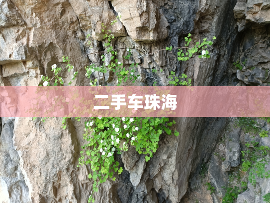二手车珠海