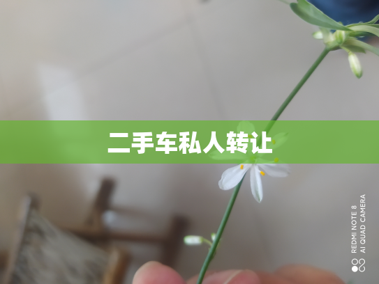 二手车私人转让