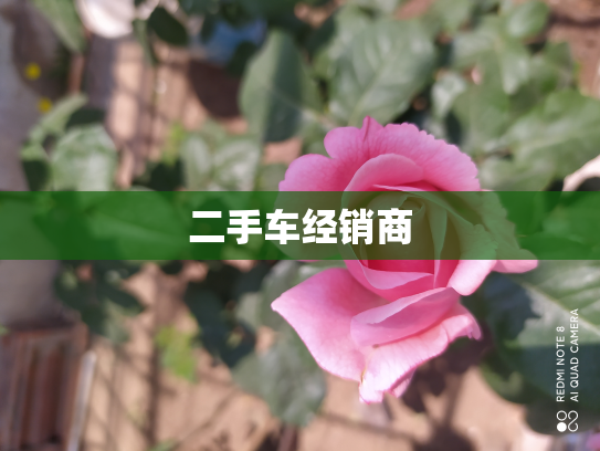 二手车经销商