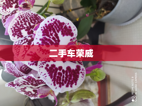 二手车荣威