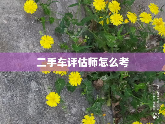 二手车评估师怎么考